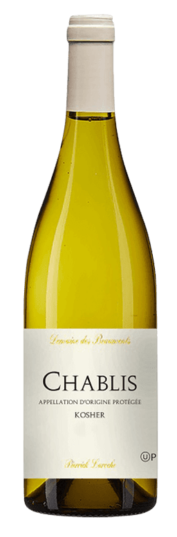 דומיין בומון שאבלי  