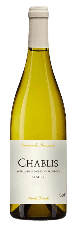 דומיין בומון שאבלי  