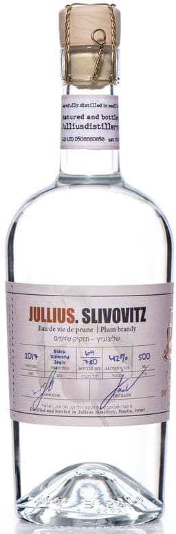 יוליוס שליבוביץ