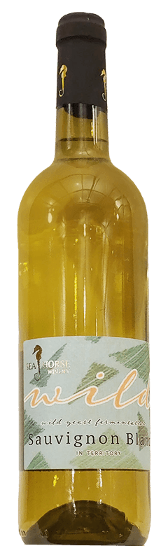 סוסון ים ווילד ס.ב