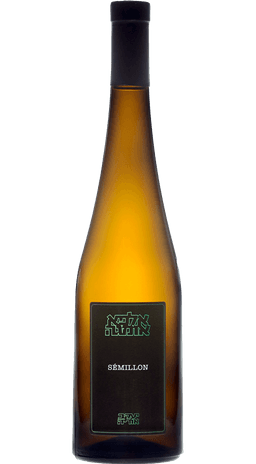 יעקב אוריה סמיון כתום