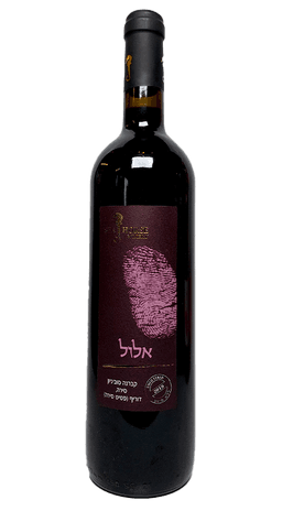 סוסון ים אלול