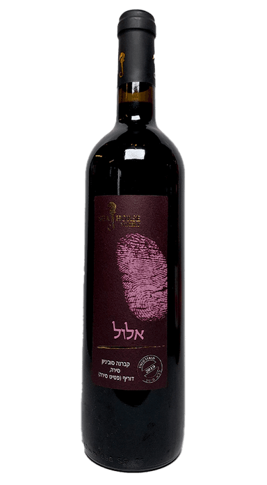 סוסון ים אלול