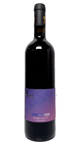 סוסון ים פילד בלנד מורג