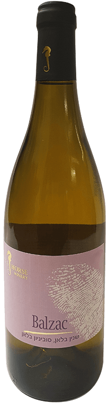 סוסון ים בלזק