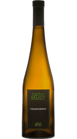 יעקב אוריה שרדונה כתום