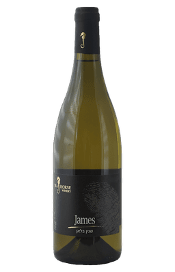 סוסון ים שנין ג'ימס