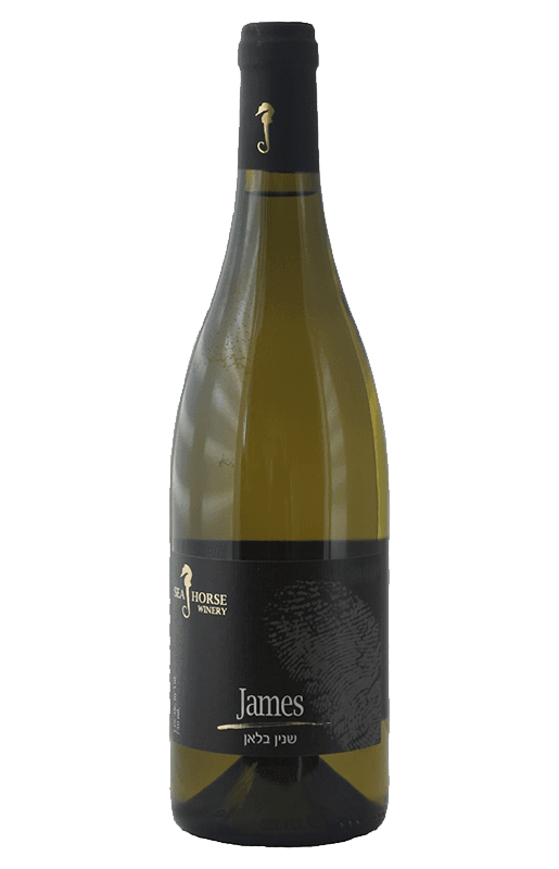 סוסון ים שנין ג'ימס