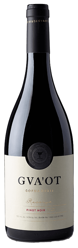 גבעות גופנה פינו נואר