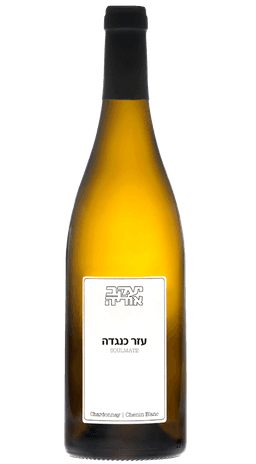 יעקב אוריה עזר כנגדה