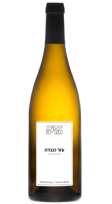 יעקב אוריה עזר כנגדה