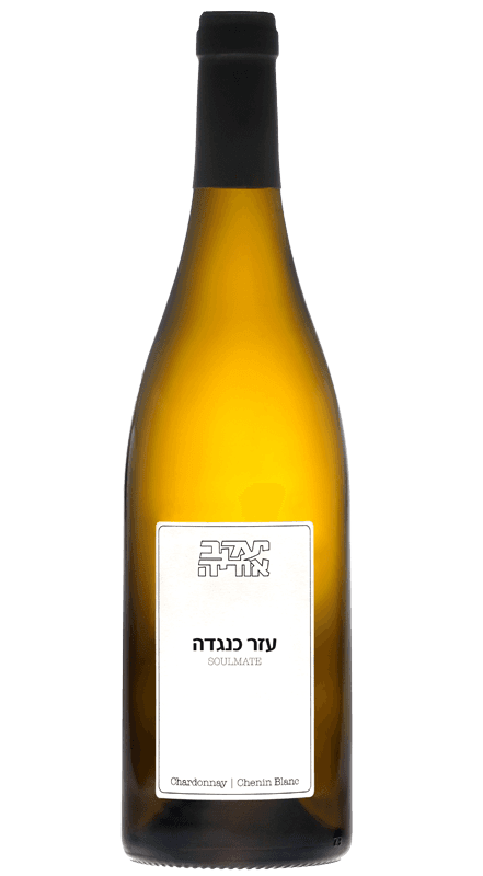 יעקב אוריה עזר כנגדה