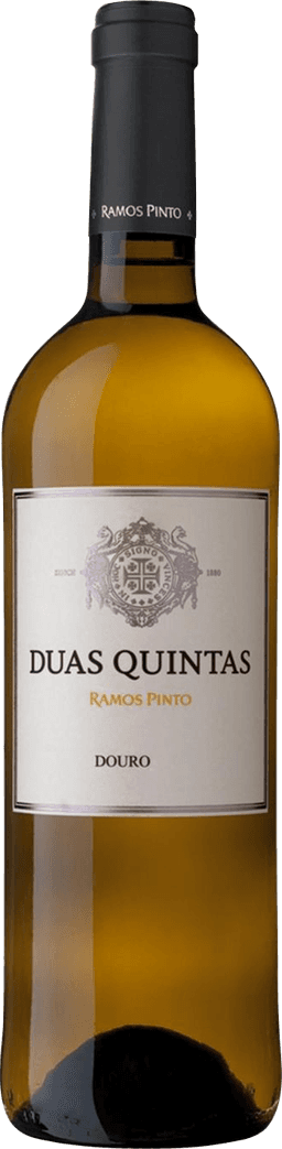 דוס קינטאס לבן