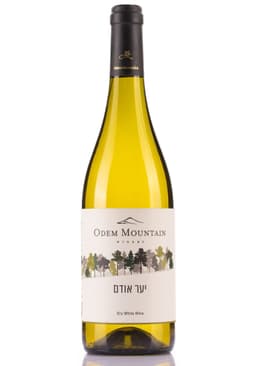 יער אודם לבן 2023 75