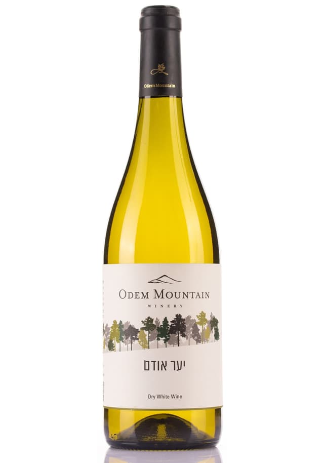 יער אודם לבן 2023 75