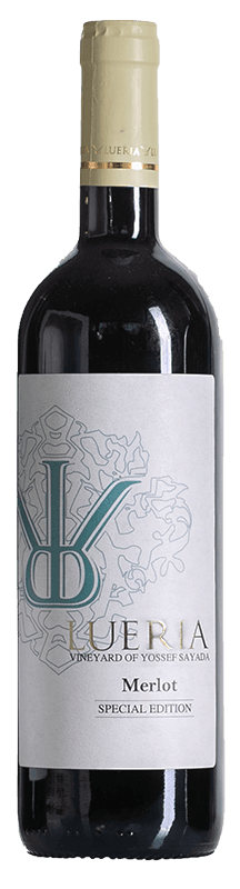 לוריא ספיישל אדישין מרלו