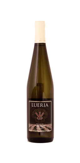 לוריא ספיישל אדישיין לבן