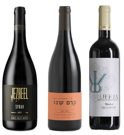 שלישייה ישראלית מהצפון
