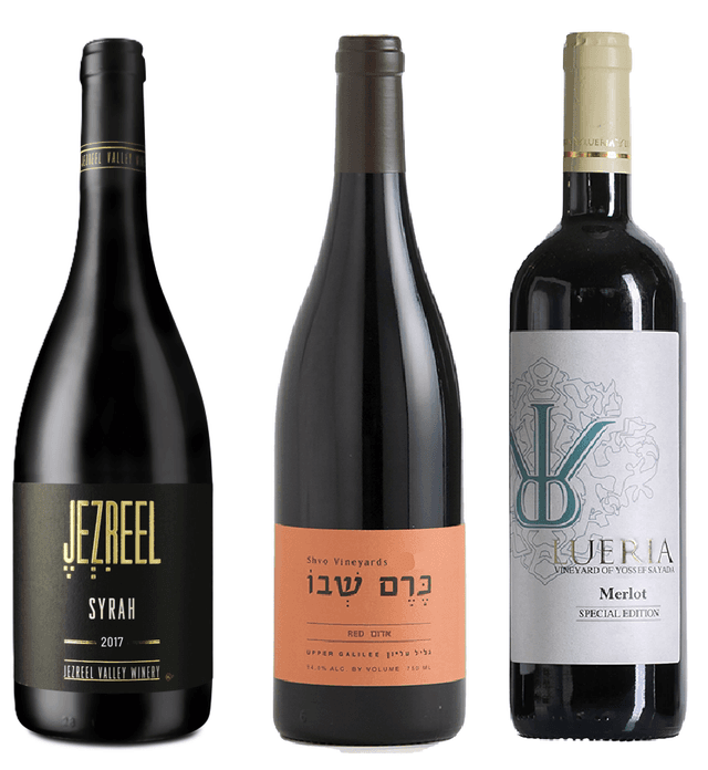 שלישייה ישראלית מהצפון