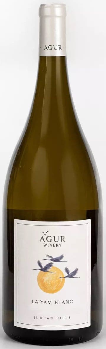 עגור לים לבן