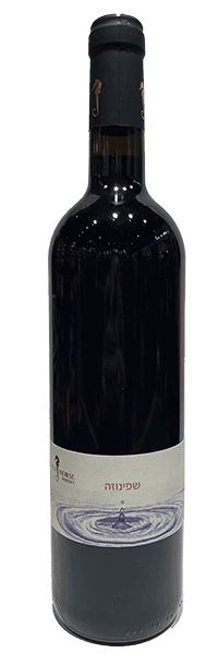 סוסון ים שפינוזה