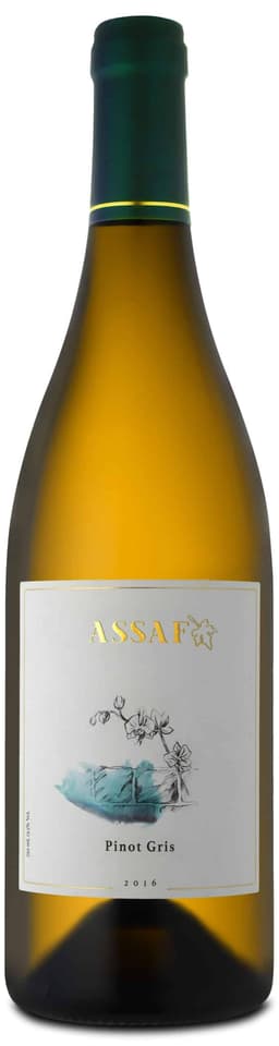 אסף פינו גרי