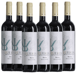 שישיית לוריא ספיישל אדישן מרלו