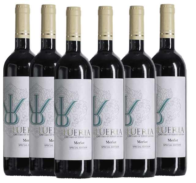 שישיית לוריא ספיישל אדישן מרלו