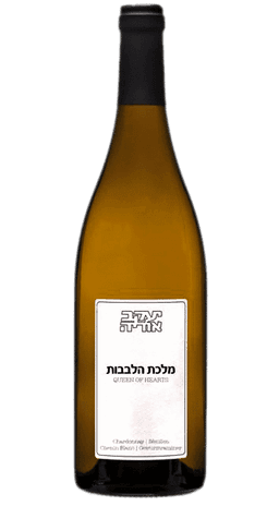 יעקב אוריה מלכת הלבבות