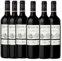 שיישית בודגס קארו אמנקיאה