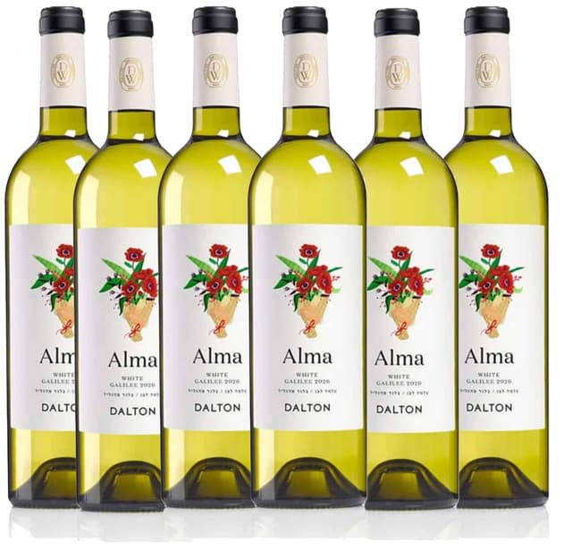 שישיית דלתון עלמה לבן