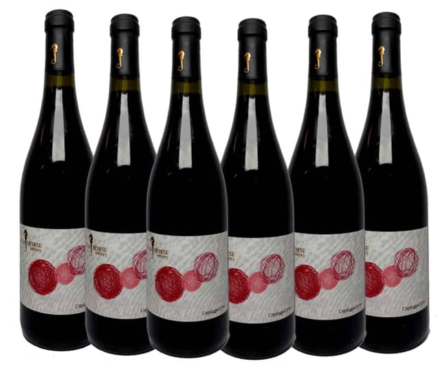 שישיית סוסון ים אנפלגד אדום