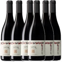 שישיית רקנאטי ביתוני