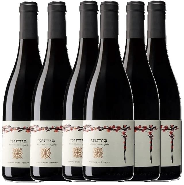 שישיית רקנאטי ביתוני