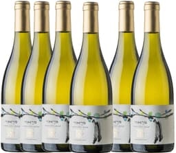 שישיית רקנאטי מראווי