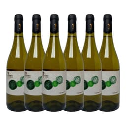 שישיית סוסון ים אנפלגד לבן