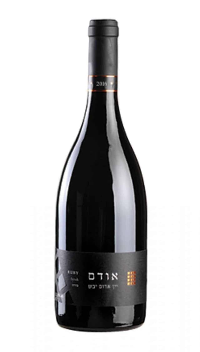 בנימינה אבני החושן אודם לרכישה - בית היין