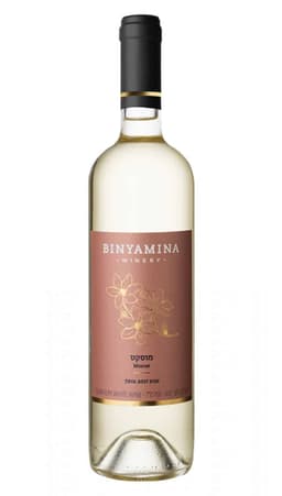 בנימינה טבע מוסקט לרכישה - בית היין