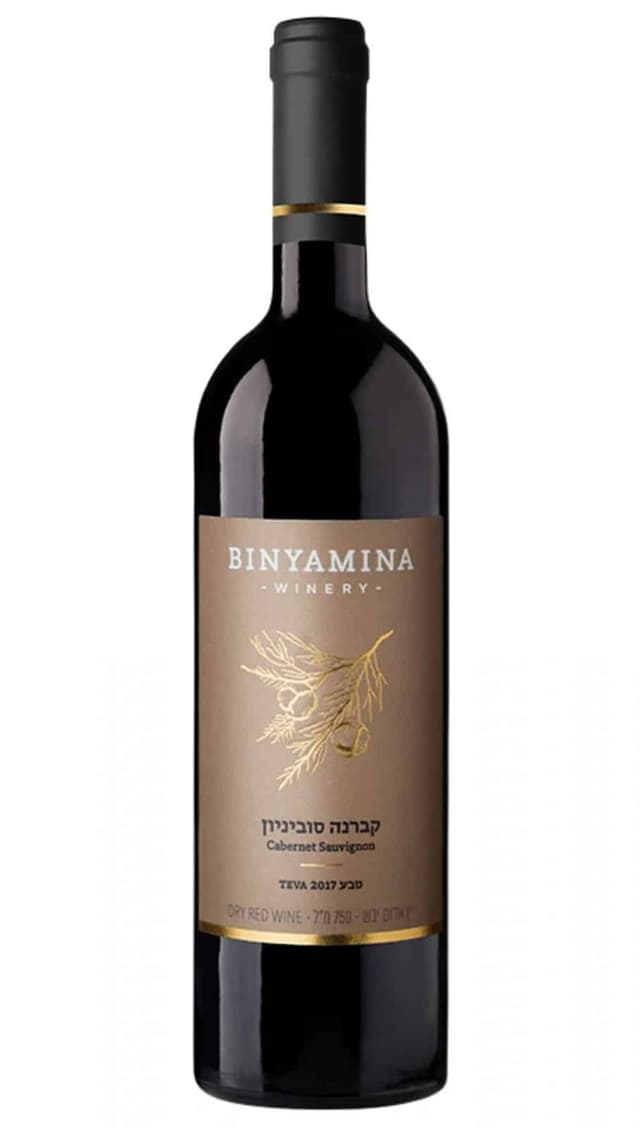 בנימינה טבע קברנה סוביניון לרכישה - בית היין