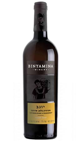 יין בנימינה יוגב סוביניון בלאן שרדונה