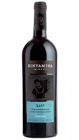 בנימינה יוגב קברנה סוביניון מרלו לרכישה - בית היין