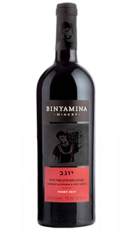 בנימינה יוגב קברנה סוביניון פטי ורדו לרכישה - בית היין