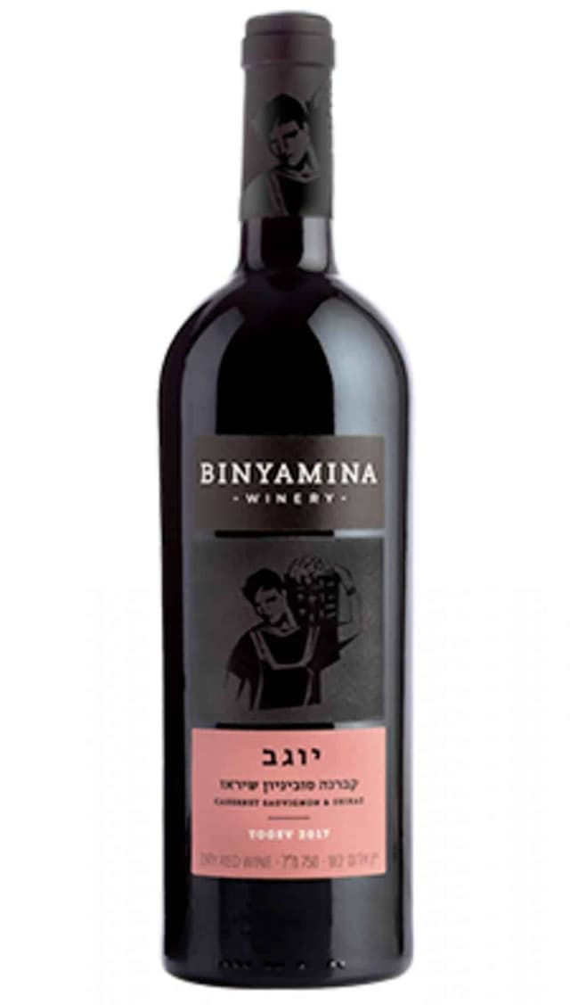 בנימינה יוגב קברנה סובניון שיראז לרכישה - בית היין