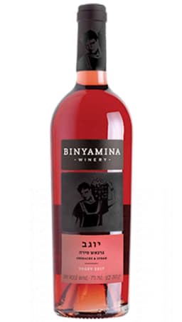 בנימינה יוגב רוזה גראנש סירה לרכישה - בית היין