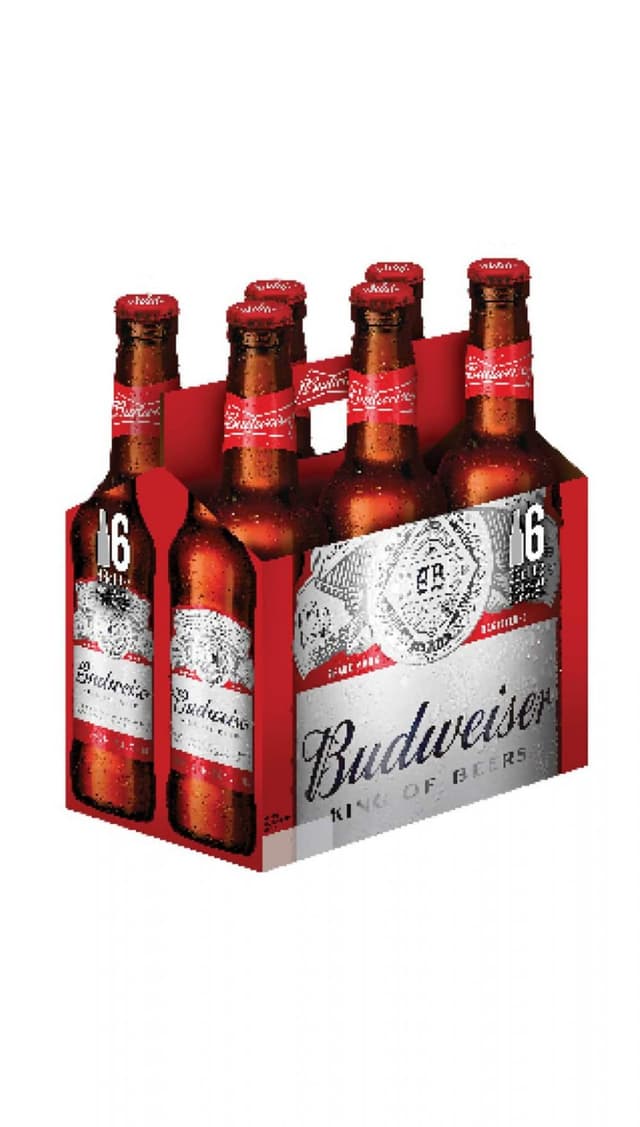 בירה באדוויזר שישייה לרכישה - בית היין