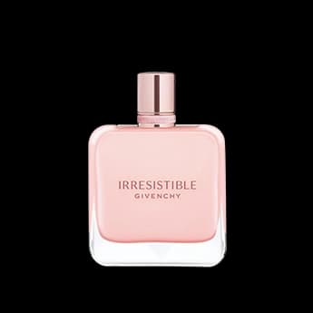 איריזיסטיבל רוז ולווט א.ד.פ