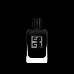 ג'נטלמן סוסייטי אקסטרים א.ד.פ