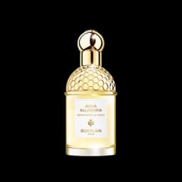 אקווה אלגוריה ברגמוט קלבריה א.ד.ט