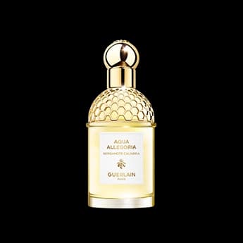 אקווה אלגוריה ברגמוט קלבריה א.ד.ט