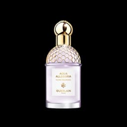 אקווה אלגוריה פלורה סלווג'יה א.ד.ט